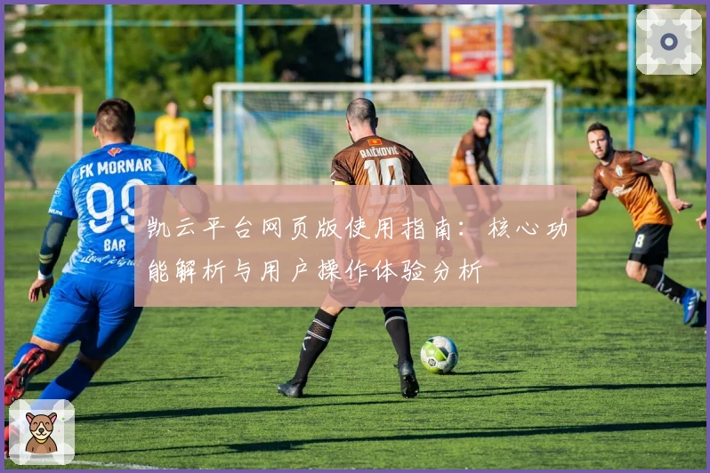 凯云平台网页版使用指南：核心功能解析与用户操作体验分析