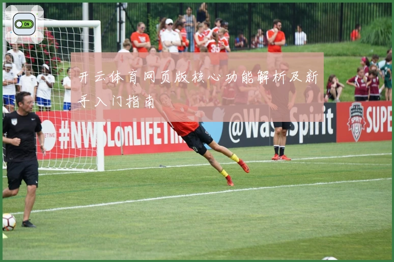 开云体育网页版核心功能解析及新手入门指南