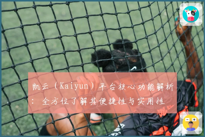 凯云（Kaiyun）平台核心功能解析：全方位了解其便捷性与实用性
